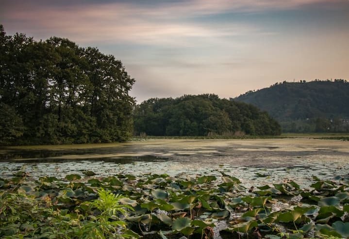 تالاب سوستان دو