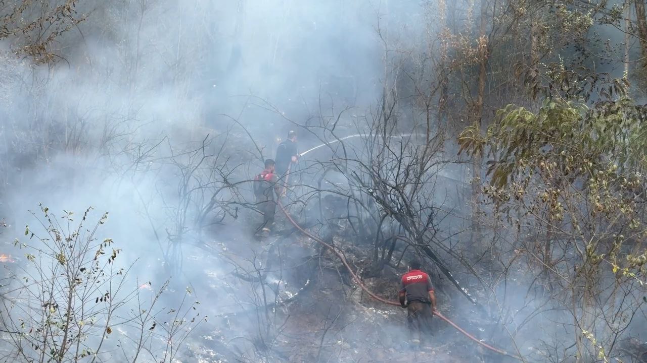 آتش‌سوزی مجدد در ارتفاعات لاهیجان مهار شد